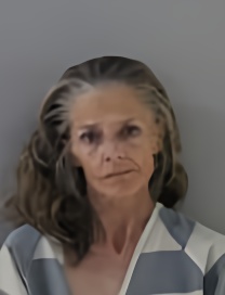 Mugshot of ANGELA ROSE VECERA