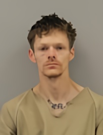 Mugshot of ANTHONY D POLVER