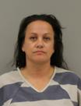 Mugshot of SARA I HANKINS