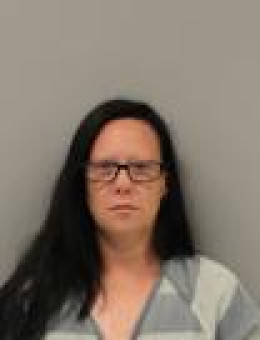 Mugshot of CYNTHIA L SKWARCZYNSKI