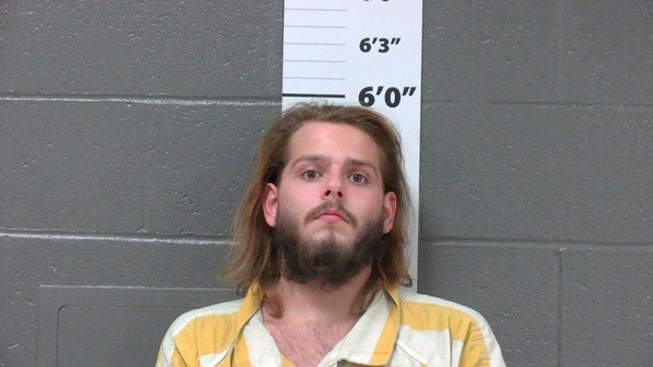 Mugshot of STEVEN, JR LOWE