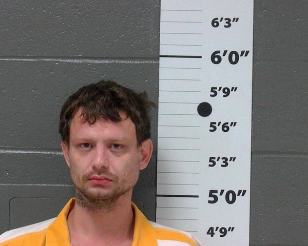 Mugshot of DALTON M STEAGALL