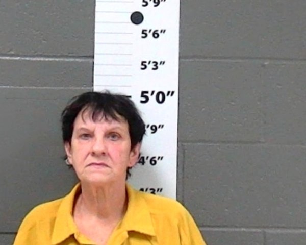 Mugshot of BRENDA LEE POWELL
