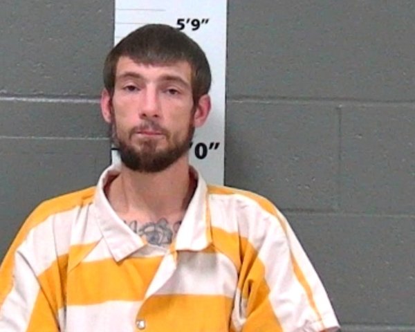 Mugshot of AARON FERGUS