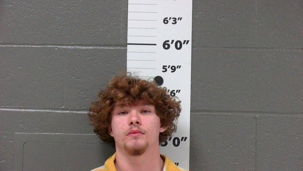 Mugshot of DAVID ALEX WERNTZ