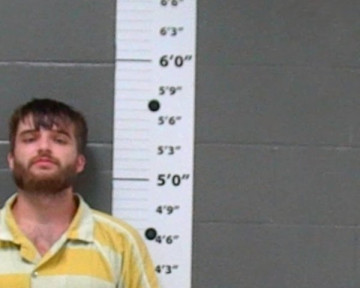Mugshot of NICHOLAS BLEVINS