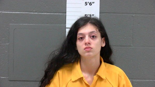 Mugshot of PATIENCE COMMEANS
