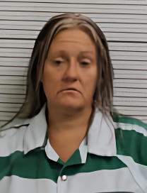 Mugshot of AMANDA PAULINE DISANTIS