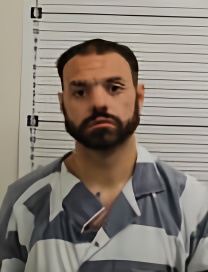 Mugshot of TYLER GRISHAM