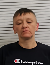 Mugshot of MELISSA ANN BELLOMY