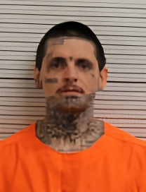 Mugshot of NATHAN GRIFFIS