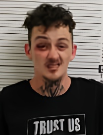 Mugshot of LEVI MICHAEL HURLEY