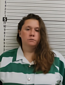 Mugshot of ALICIA K WHEELER