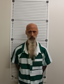 Mugshot of STRIDER DEMERICE PAUL