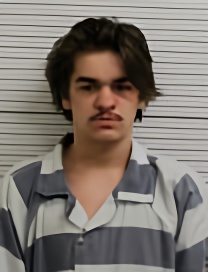 Mugshot of RAIDEN WHITLOCK