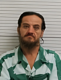 Mugshot of ROBERT JR GIBSON