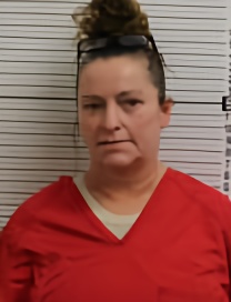 Mugshot of MICHELLE FAYE DETTY