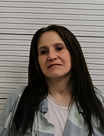 Mugshot of AMANDA DAWN NELSON