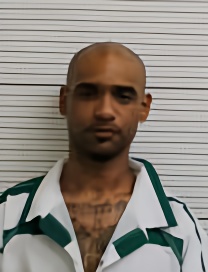 Mugshot of ROBERT EMANUAL JR GRAVELY