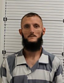 Mugshot of RICKY LEE JONES