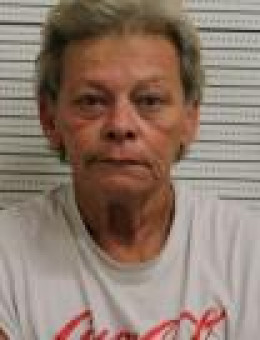 Mugshot of LISA A JORDAN