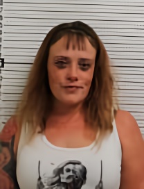 Mugshot of BRITTANY KAY JOHNSON