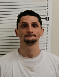 Mugshot of TYLER J STEBELTON