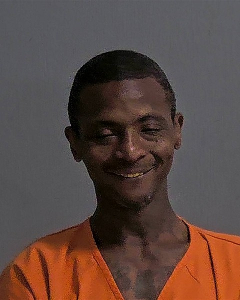 Mugshot of LOUIS D BURNETT