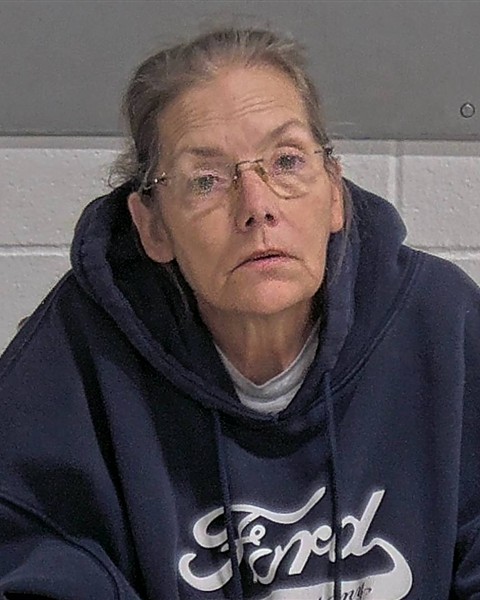 Mugshot of LORENE K VARGAS