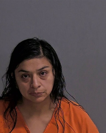 Mugshot of ESTELA CASTREJON
