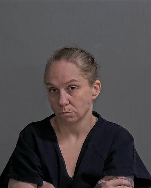 Mugshot of AMANDA L LINDENBERGER