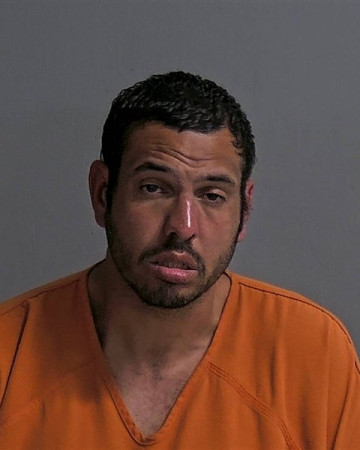 Mugshot of DENNIS J GARDNER