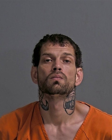 Mugshot of LARRY JOHNSON