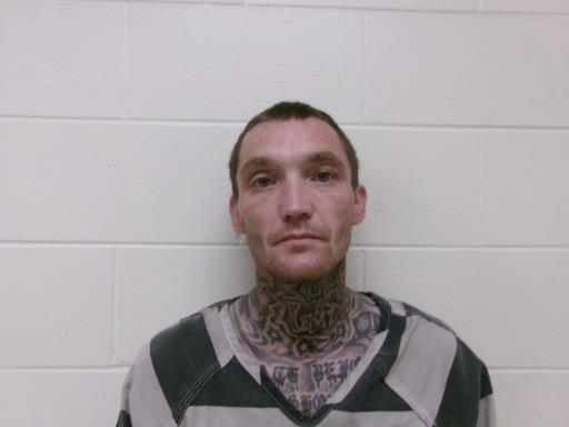 Mugshot of RICHARD SCOTT VITITOE