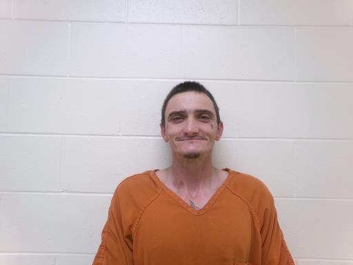 Mugshot of MARK ALLEN ADKINS