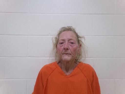 Mugshot of KIMBERLY S LITTLE