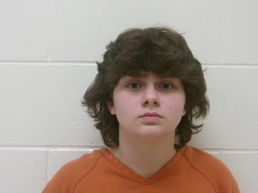 Mugshot of TRINIDA DAWN CASTRO