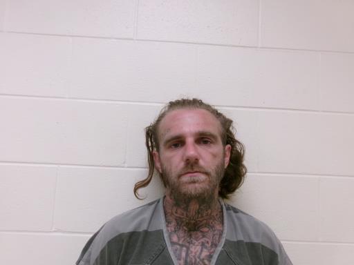 Mugshot of DANIEL LEE TANSEY