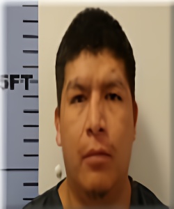 Mugshot of Luis Mosquera-Ibarra