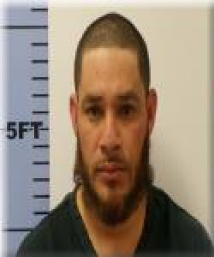 Mugshot of Lelis Cartagena-Jimenes