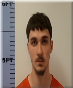 Mugshot of Michael Bollinger
