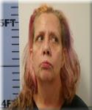 Mugshot of Tamara Mccarley
