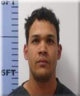 Mugshot of Jose Telleria