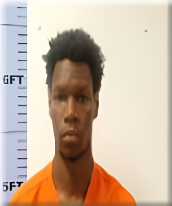 Mugshot of Ty Johnson