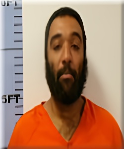 Mugshot of Clance Dulin