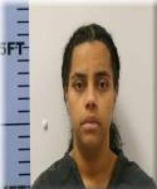 Mugshot of Brianna Lissette Salcedo-Castillo