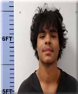 Mugshot of Corey Minous