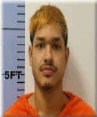 Mugshot of Yohaldres Perera Moran