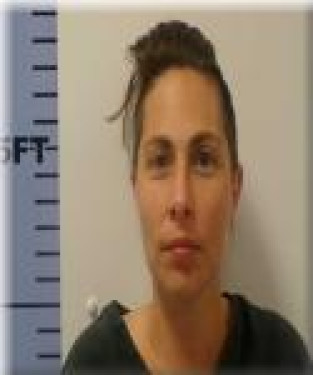Mugshot of Ashlee Luzadder