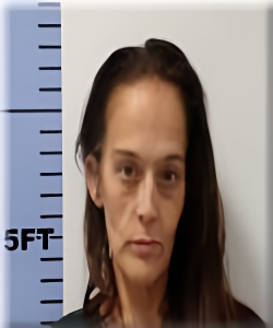 Mugshot of Melisa Marshall